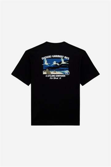 Dickies Companion Tee - Black