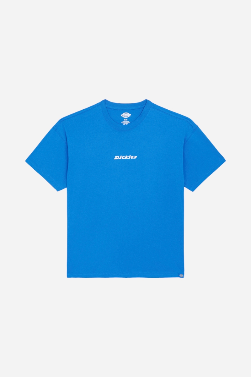 Dickies Enterprise Tee - Turkish Sea