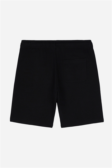 Dickies Mapleton Shorts - Black