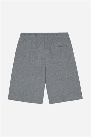 Dickies Mapleton Shorts - Grey