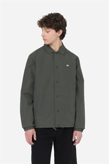 Dickies Oakport Coach - Olive Green