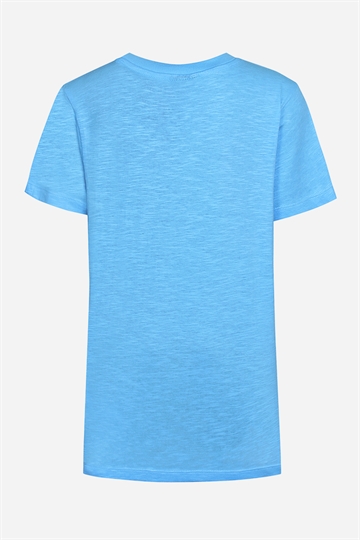 DWG Richie T-shirt - Alaskan Blue
