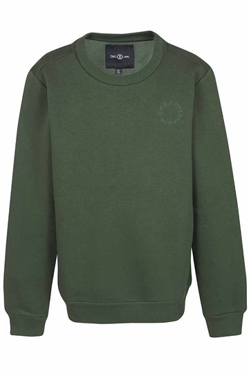 DWG Sweatshirt - Rune - Mineral Green