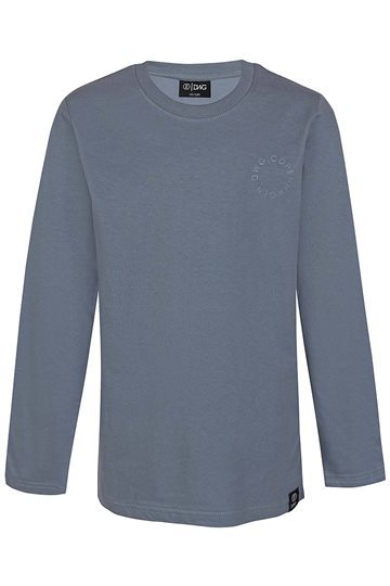 DWG L/S T-Shirt - Aslan - Blue Mirage