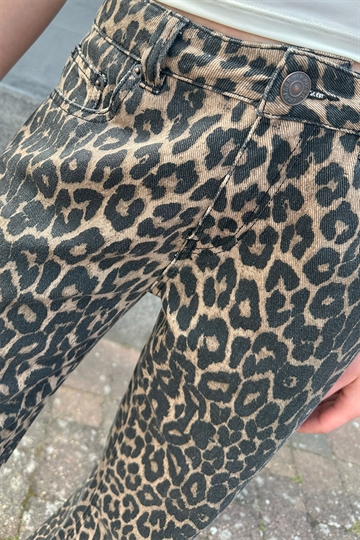 Fraizer - Pige Jeans Lav Talje - Malou - Leopard Print