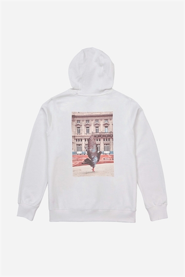 Globe Buenos Aires Hoodie - White