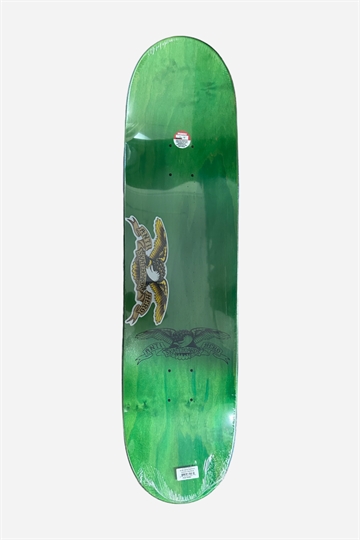 Anti Hero Daan No Regerets 8.5" Deck - Light Green